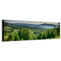 Obraz Panoramiczny LAS Góry Krajobraz Efekt 3D Natura 145cm x 45cm