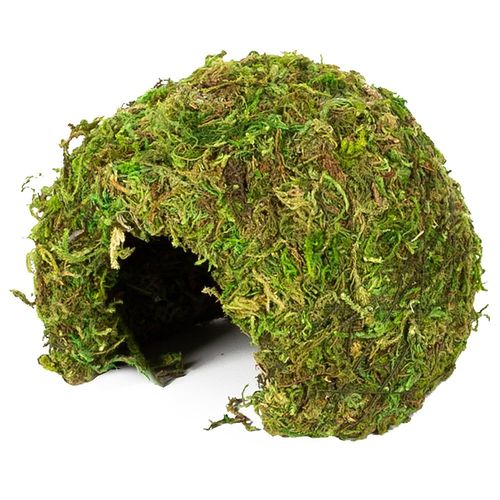 Repti-Zoo Natural Mossy Dome S  - kryjówka z mchu na Arena.pl
