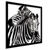 Obraz ażurowy Dekoracja ścienna Panel Zebra 3D