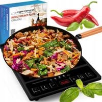 PŁYTA INDUKCYJNA KUCHENKA ELEKTRYCZNA 2000W TIMER MINUTNIK LCD 5-TRYBÓW