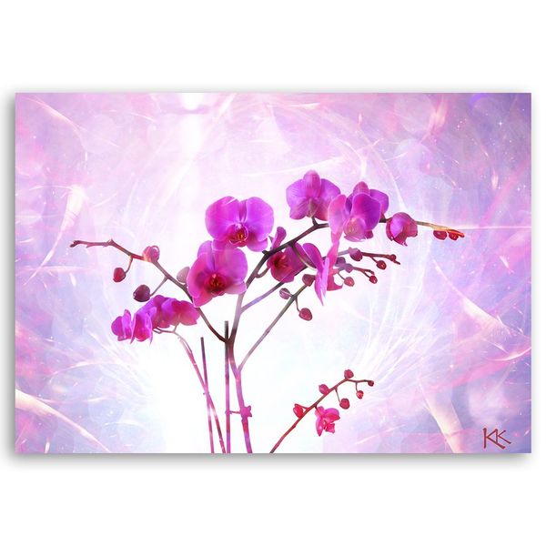 Emaga Obraz na płótnie, Eteryczna orchidea - 120x80 zdjęcie 3