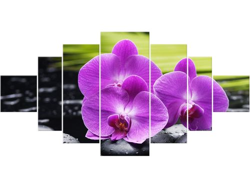 Obraz drukowany płótno 7 elementów 200x100 GRATIS na Arena.pl