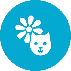 Oczyszczacz powietrza KOLUMNOWY WEBBER AP8600 HEPA na Arena.pl