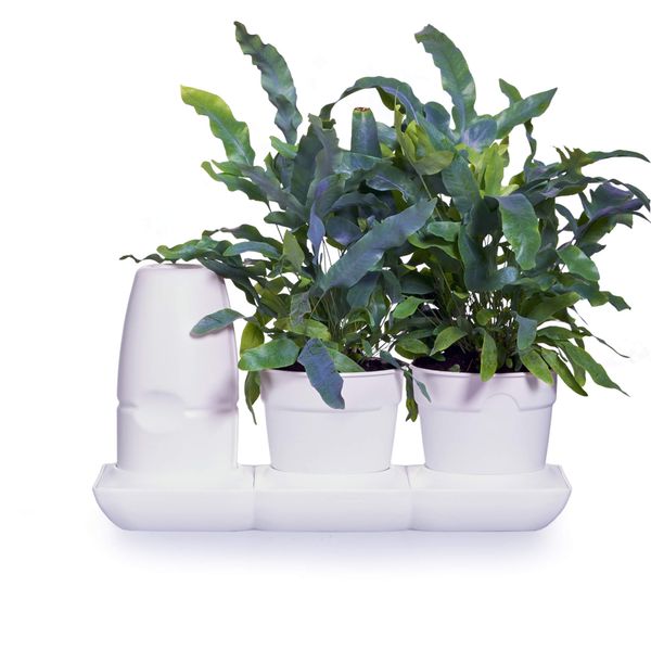 Ogródek domowy Minigarden Basic S +Pots - biały zdjęcie 8