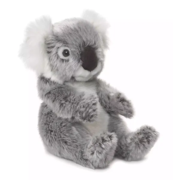 WWF. Koala zdjęcie 1