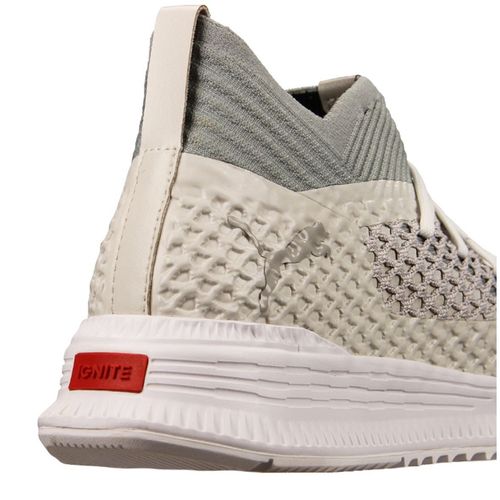 Buty Puma Future Netfit Avid Limited r.46 na Arena.pl