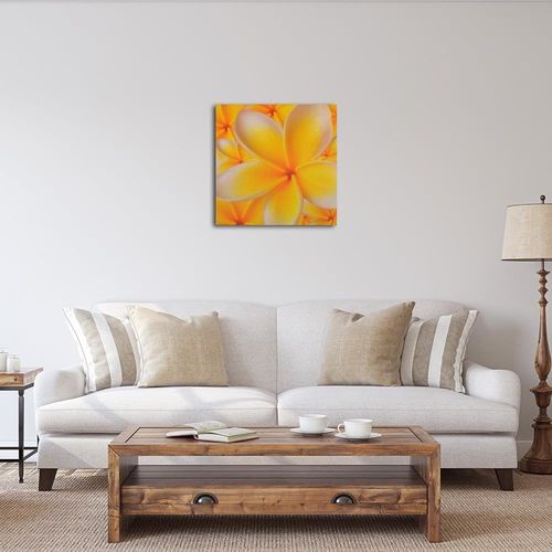 Deco Panel, Kwiat plumerii 30x30 na Arena.pl