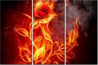 60 90CM OBRAZ 3 ELEM OGNISTA RÓŻA DRUK PŁÓTNO RAMA