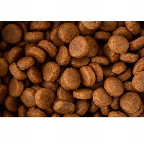 LUPPY Karma sucha dla psów Dorosłych i AKTYWNYCH z kompleksem WITAMIN na Arena.pl