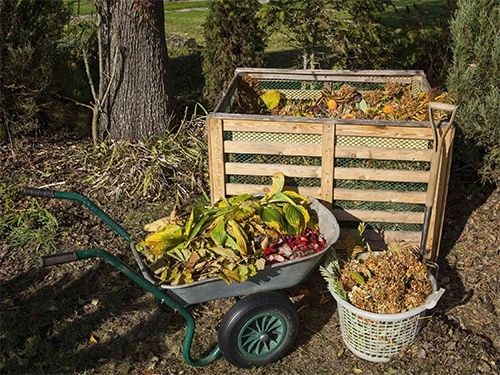 Preparat do rozkładu pni i korzeni 750ML na Arena.pl