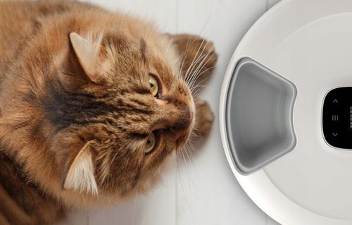 Dozownik karmy Nutrispin SMART 6 przegródek na Arena.pl