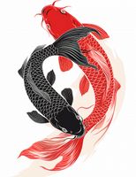 Plakat 50x65cm Yin i Yang Koi