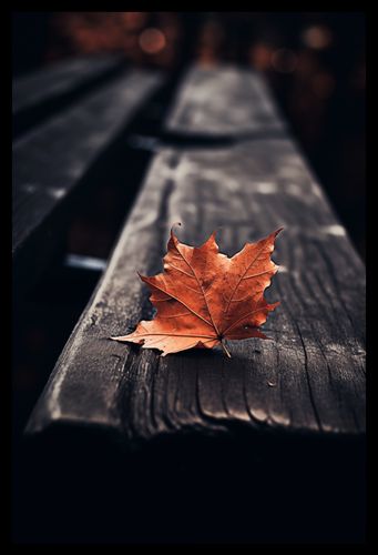 Plakat 30x45cm Pojedynczy Liść na Arena.pl