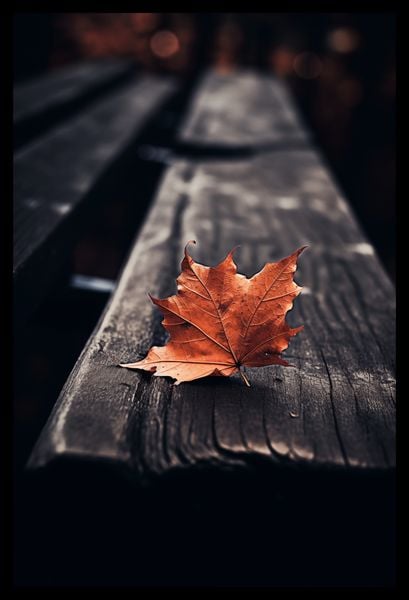 Plakat 30x45cm Pojedynczy Liść zdjęcie 2