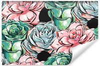 Fototapeta MALOWANE Sukulenty Rośliny 3D 270cm x 180cm