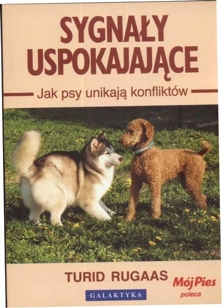 Sygnały uspokajające. Jak psy unikają konfliktów zdjęcie 6