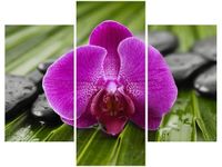 product-compare-58710566