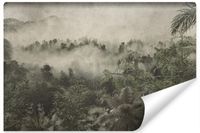 Fototapeta Tropikalny LAS WE MGLE Abstrakcja Styl Retro 270cm x 180cm