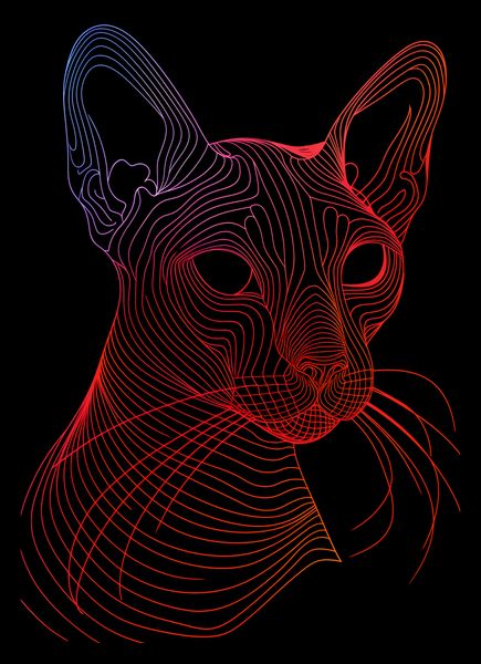 Plakat 21x29,7cm Cyfrowa Kocica zdjęcie 2