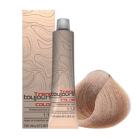TREND TOUJOURS Farba do włosów - Jasny Popielaty Blond 8.1 - 100ml