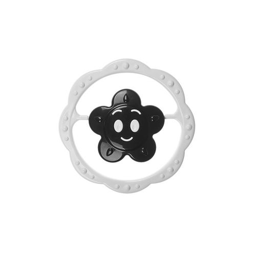 Grzechotka czarno-biała kwiat. AM TULLO na Arena.pl