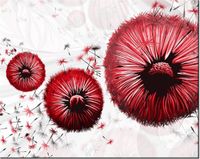 product-compare-58645638