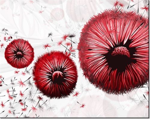 40CM 50CM OBRAZEK ŚCIENNY CZERWONE DMUCHAWCE DRUK PŁÓTNO OBRAZ na Arena.pl