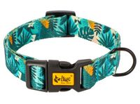 Wytrzymała obroża dla psa z regulacją 23-34cm - Dingo City Monstera 2cm