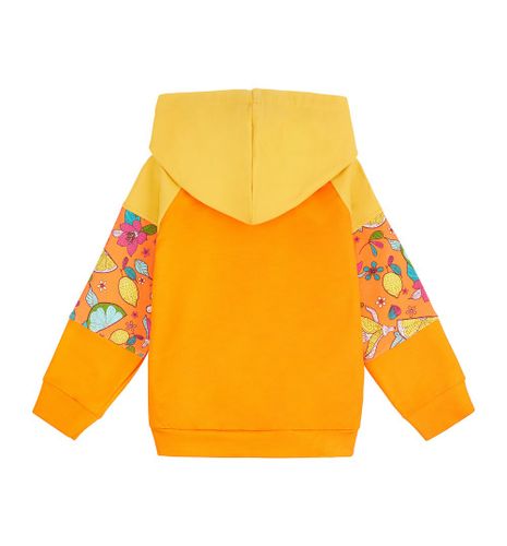 Bluza 3 kolory Cytryny 146 na Arena.pl