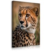 OBRAZ NA PŁÓTNIE DO SALONU GEPARD DZIKI KOT ZWIERZĘTA NATURA SAFARI 80x120