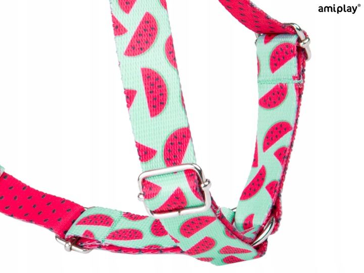 amiplay Szelki regulowane Guard BeHappy S Watermel zdjęcie 3