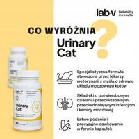 Lab-v Urinary Cat Wsparcie układu moczowego dla kotów 45 kapsułek
