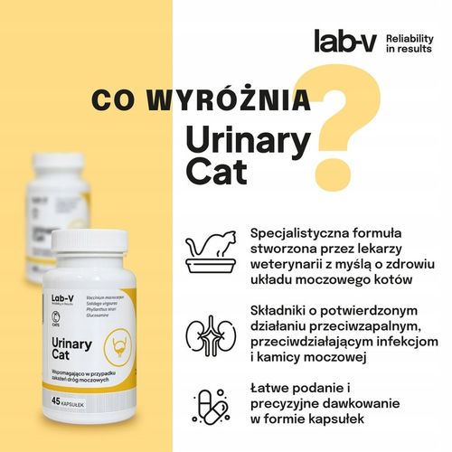 Lab-v Urinary Cat Wsparcie układu moczowego dla kotów 45 kapsułek na Arena.pl