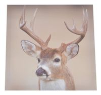 product-compare-55924655