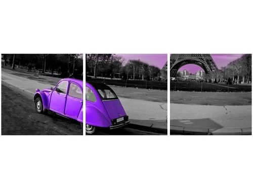 90 80CM OBRAZ T3 ELEM CYTRYNA FIOLECIE DRUK ŚCIENNY na Arena.pl