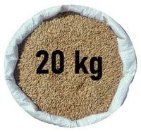 Żyto na poplon - czyste od Rolnika (zbiór2025) 20kg