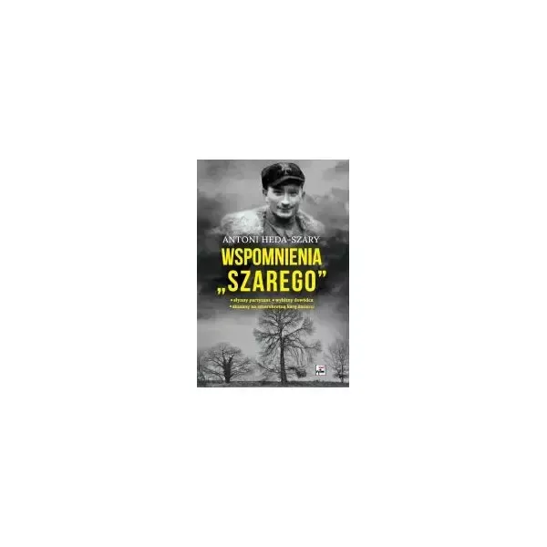 Wspomnienia Szarego zdjęcie 1
