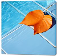 Obraz 100x100cm Liść przy Wodzie