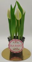 kwiat w doniczce dla babci 24cm tulipan m93209 babcia