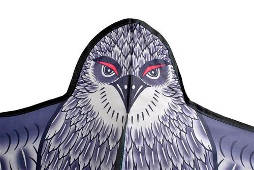 ND12_13685 Latawiec - orzeł  5902802911025 na Arena.pl