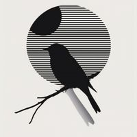 Plakat 100x100cm Kontrast Smukłości