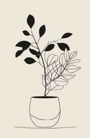 Plakat 56,6x86,4cm Prostota Doniczki