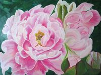 Peonie, kwiaty (60x80cm)