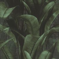 TAPETA DUŻE LIŚCIE WZÓR ROŚLINNY EFEKT 3D WINYLOWA NA FLIZELINIE