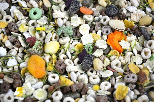 NATURALNY POKARM KARMA ZIOŁA DLA KRÓLIKA ŚWINKI KAWII CHOMIKA GRYZONI na Arena.pl