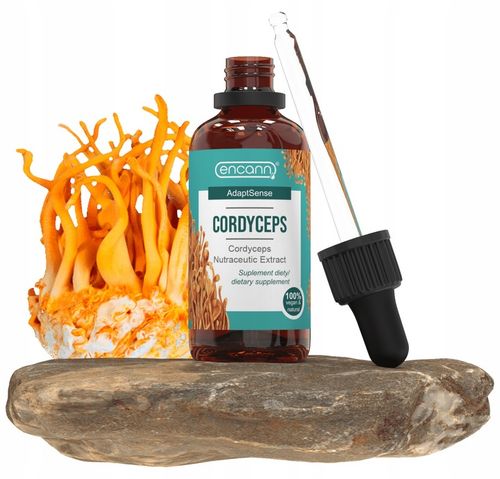 Encann Cordyceps (Maczużnik Bojowy) - silny ekstrakt w kroplach 50 ml na Arena.pl