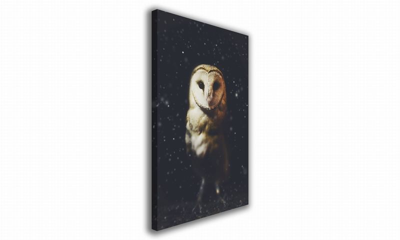 OBRAZ NA PŁÓTNIE 139 Sowa 70x100cm zdjęcie 1