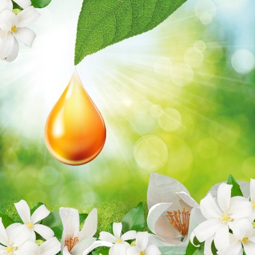 Air Wick Active Fresh Odświeżacz Powietrza WKŁAD Białe Kwiaty ZAPAS 228 ml na Arena.pl