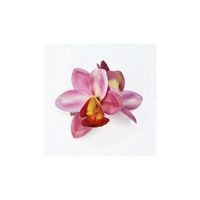 product-compare-64115049