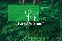 JABŁCZAN KREATYNY TCM 500g CZYSTA KREATYNA W PROSZKU SIŁA WYTRZYMAŁOŚĆ